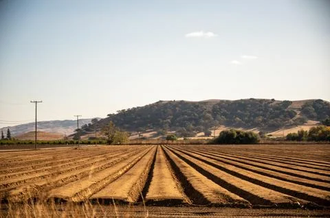 Wide rural landscape with open fields and a country road under a bright summe Stock Photos