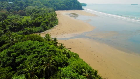 Wide sandy beach beside dense green forest in Costa Rica Stock-Footage 341453146