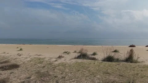 Wide sandy beach with cloudy sky and sea horizon Stock Footage 321121503