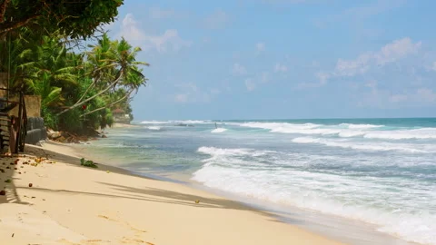 Wide sandy beach lined with palm trees, empty tropical shores washed by foamy Stock Footage 269492681