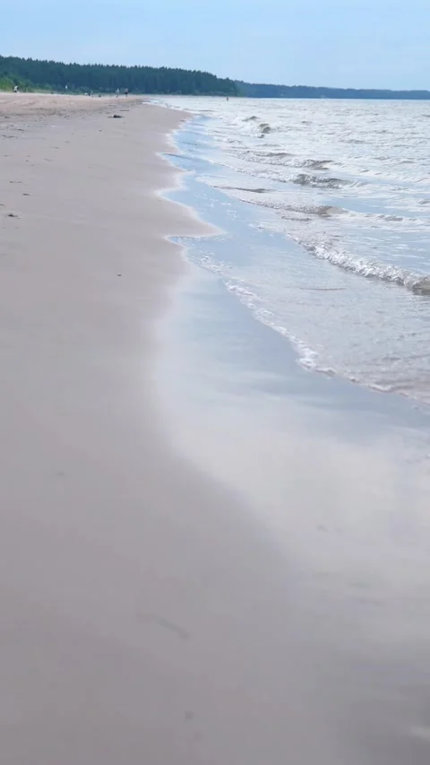 Wide Sandy Beach Stretching Along Forest Edge With Soft Ocean Waves 库存影片 340624436