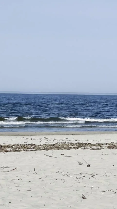 Wide Sandy Beach with Waves and Blue Horizon Stock Footage 340163346