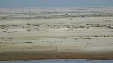 Wide sandy riverbed landscape with calm water and birds Video stock 330707624