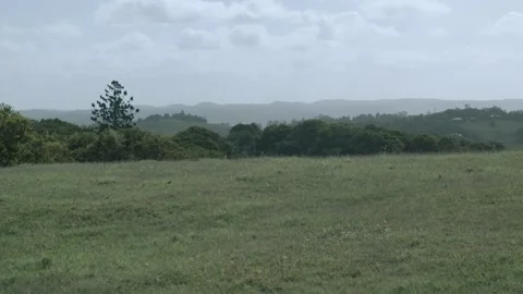 Wide scenic view over grassy field and distant hills, Sunshine Coast Hinterland Stock Footage 341299560