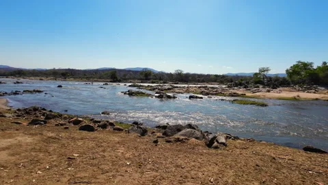 Wide Shire River Flowing Through Malawi’s Majete Landscape Stock Footage 341313023