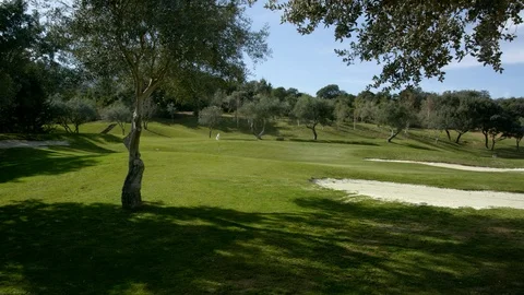 Wide Shot, 20 Seconds Or Greater, Tree, Golf, Golf Course, Putting Green, Sport, Stock Footage 94577125
