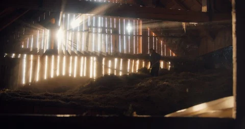 A wide shot of a barn with hay while a farmer is working with a pitchfork in sun Stock Footage 129404469