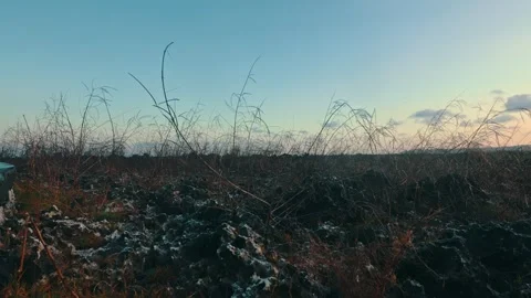 Wide Shot of Barren Field with Sparse Dry Vegetation and Frost at Dawn or Dusk, Stock Footage 332152091