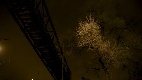 Wide shot of barren tree and bridge in silhouette against night sky Stock Footage 89945481