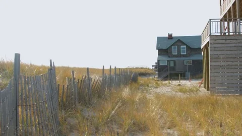 Wide shot of beach grass during a day Stock Footage 76591980