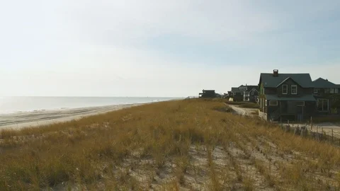 Wide shot of beach grass during a day Stock-Footage 76592010