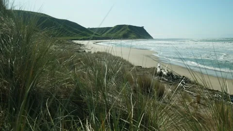 Wide shot of beach through grass Stock Footage 251688396
