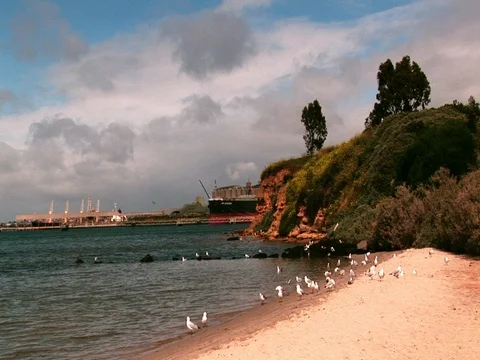 Wide shot beach time lapse. Stock Footage 79979661