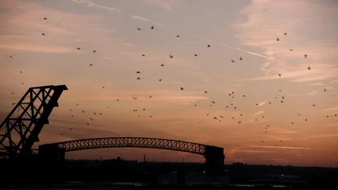 Wide shot of birds migrating at sunset over bridge industrial area Pan Left Stock Footage 89944655