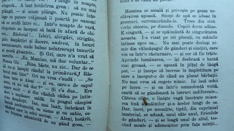 Wide Shot of a Bookworm Going Down the Page of an Old Book Stock Footage 310399064