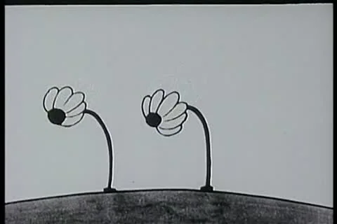 Wide shot bouncing flowers Stock Footage 11345898