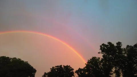 Wide Shot of Brilliant Double Rainbow over Dark Tree Silhouettes against Pink Stock-Footage 337024172