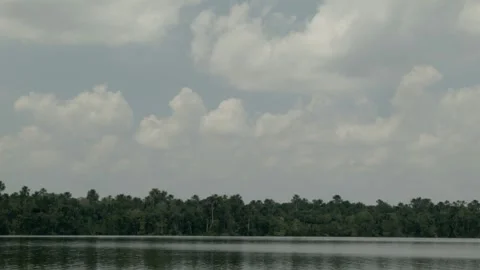 Wide shot of the calm waters of the Amazon River Stock Footage 188917659