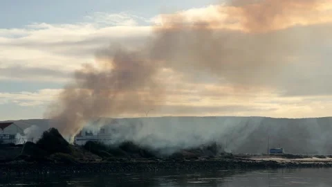 Wide shot of a controlled fire burning in a rural field, with the faint skyline Stock Footage 321038328