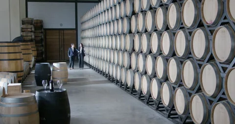 Wide shot of conversation about wine production in a vineyard barrel room Stock-Footage 312928342