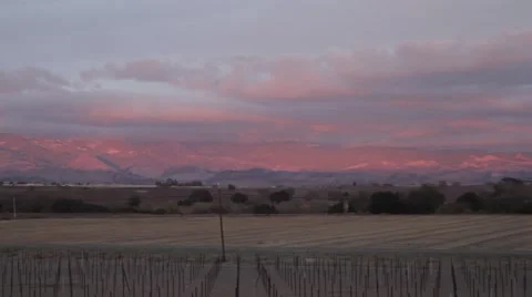 Wide Shot of cyclist riding through beautiful red sunset at vineyard Stock Footage
