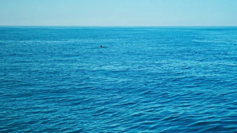 Wide shot of deep blue ocean with distant snow-covered mountains, in Iceland. Stock Footage 293635130
