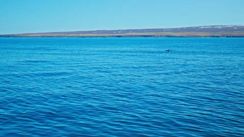 Wide shot of deep blue ocean with distant snow-covered mountains, in Iceland. Stock Footage 293635254