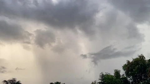 Wide Shot of Distant Rain Falling from Heavy Gray Clouds over Trees Stock Footage 344015985