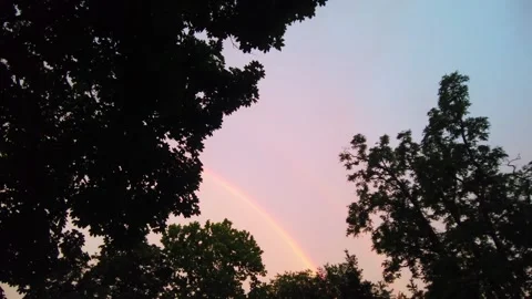 Wide Shot of Double Rainbow Framed by Silhouette Treetops against Pink Twilight Vidéo 336954691