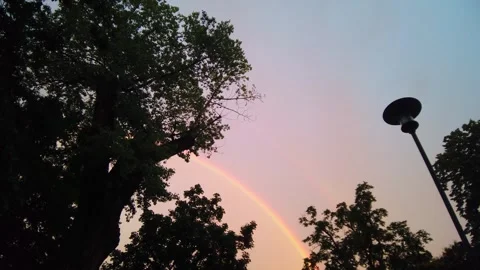 Wide Shot of Double Rainbow over Treetops and Street Lamp Silhouette in Park at 库存影片 336954825