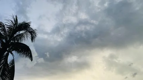 Wide Shot of Dramatic Overcast Sky with Sunbeams and Palm Tree Stock Photos