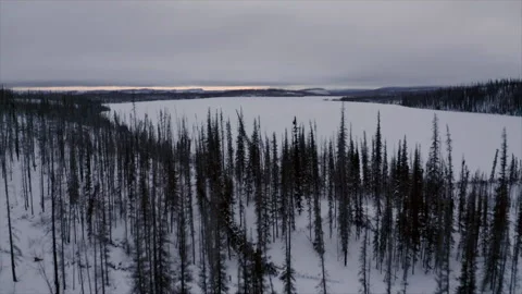 Wide shot drone moving over forest in winter, Northwest-Territories, Canada Stock Footage 244646613