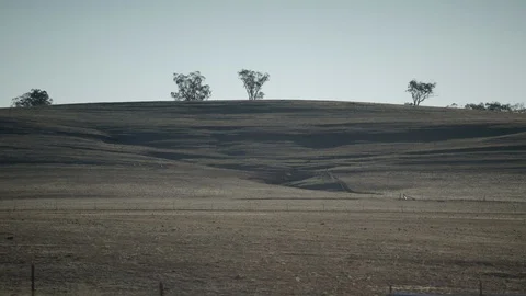 A wide shot of a dry, barren, drought effected paddock 動画素材 127221553