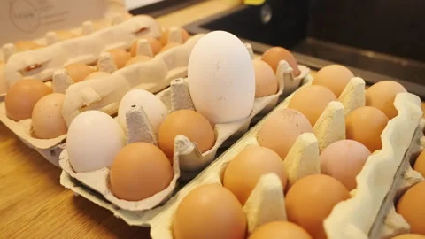 Wide shot of a egg box in kitchen with a single large egg standing out Stock Footage 332720661