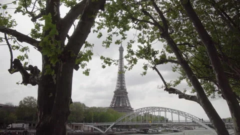 Wide Shot Of The Eiffel Tower In Paris, France View with Trees in the Stock Footage 205859183