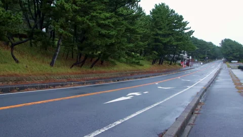 Wide shot of empty asphalt road lined with pine trees on an overcast day Stock Footage 321111952