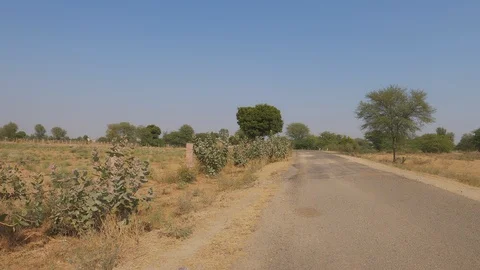 Wide shot of an empty tar road and desert Stock Footage 123046432