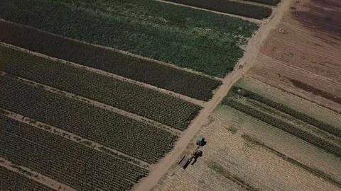 Wide shot of fall corn fields DRONE Stock Footage 122451077