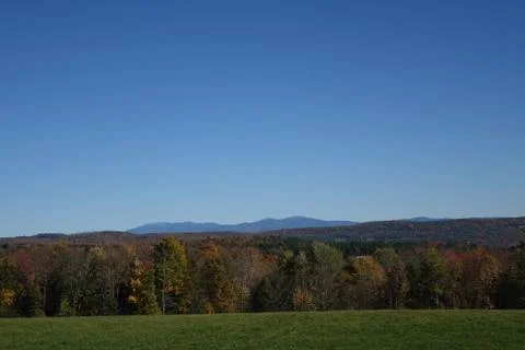 Wide Shot of Fall Trees and Mountains Stock Photos