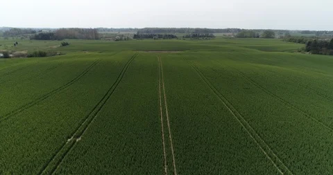 Wide shot field flyover Video stock 106883931