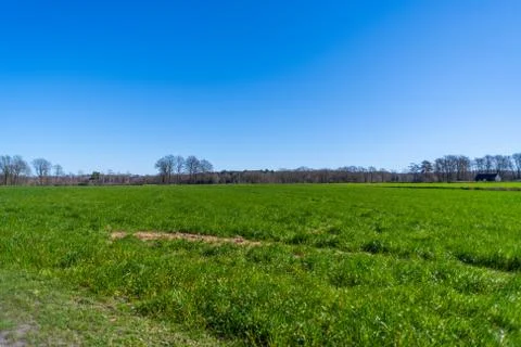 A wide shot of  fields during a bright cloudless day Stock Photos
