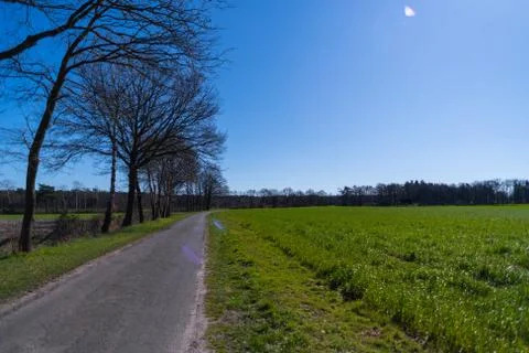 A wide shot of  fields during a bright cloudless day Stock Photos
