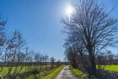 A wide shot of  fields during a bright cloudless day Stock-Fotos