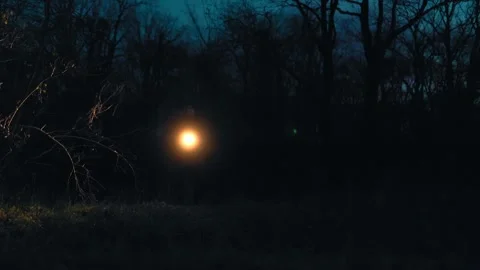 Wide Shot Flashlight Beam Moving In Dark Forest At Night lifestyle Stock Footage 334002285