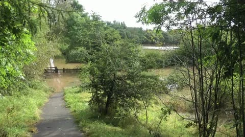 Wide shot of flooded path through trees with fast flowing river in background Stock-Footage 12591866
