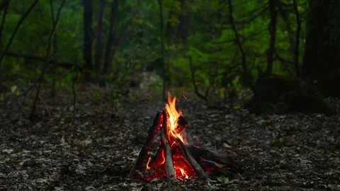 Wide Shot of Forest Bonfire in Woods Seamless Loop with Sound Stockbeeldmateriaal 344951104