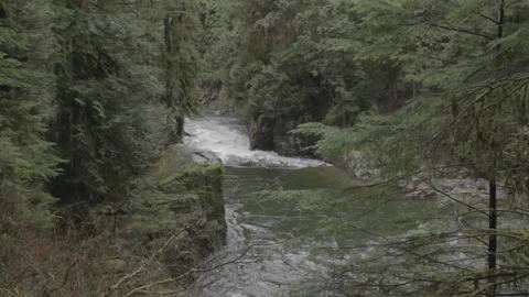 Wide Shot of Forest, Cliff, River 스톡 동영상 219531328