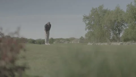 Wide shot of golfer putting Video stock 241938331