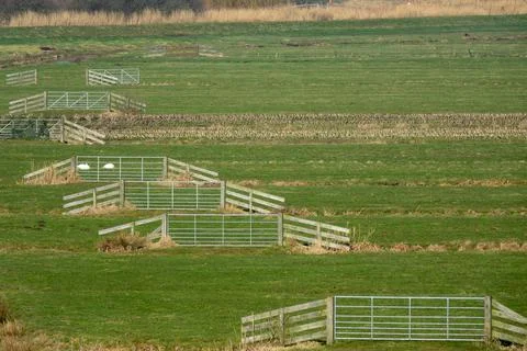 Wide shot of a grassy field with split-rail fences Stock Photos