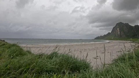Wide shot of green dune grass blowing in wind at pristine Bleik Beach Norway Vidéo 343130671